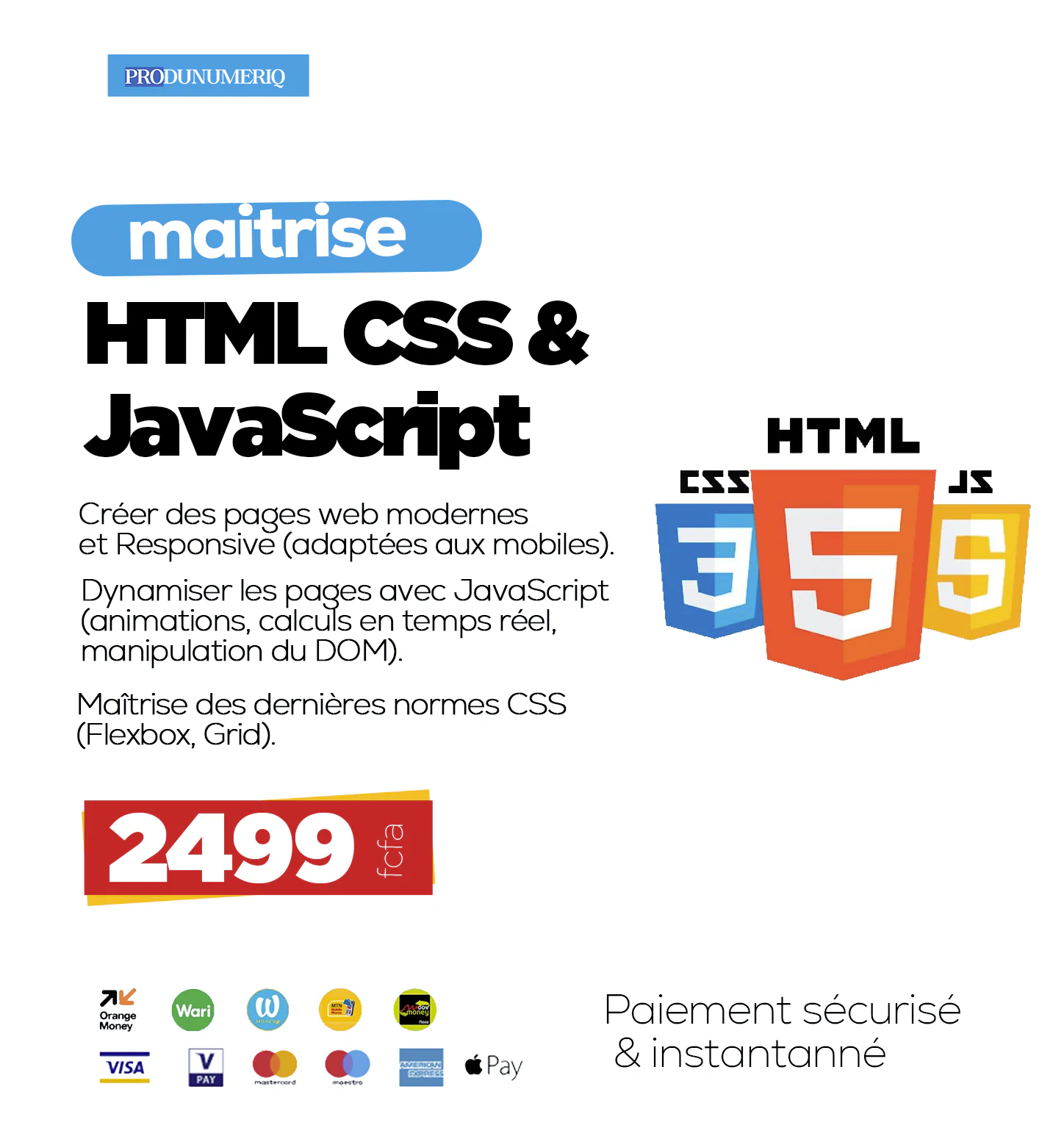 Maitriser les bases du développement web et construiser votre premier site avec HTML ,CSSS & JAVASCRIPTS