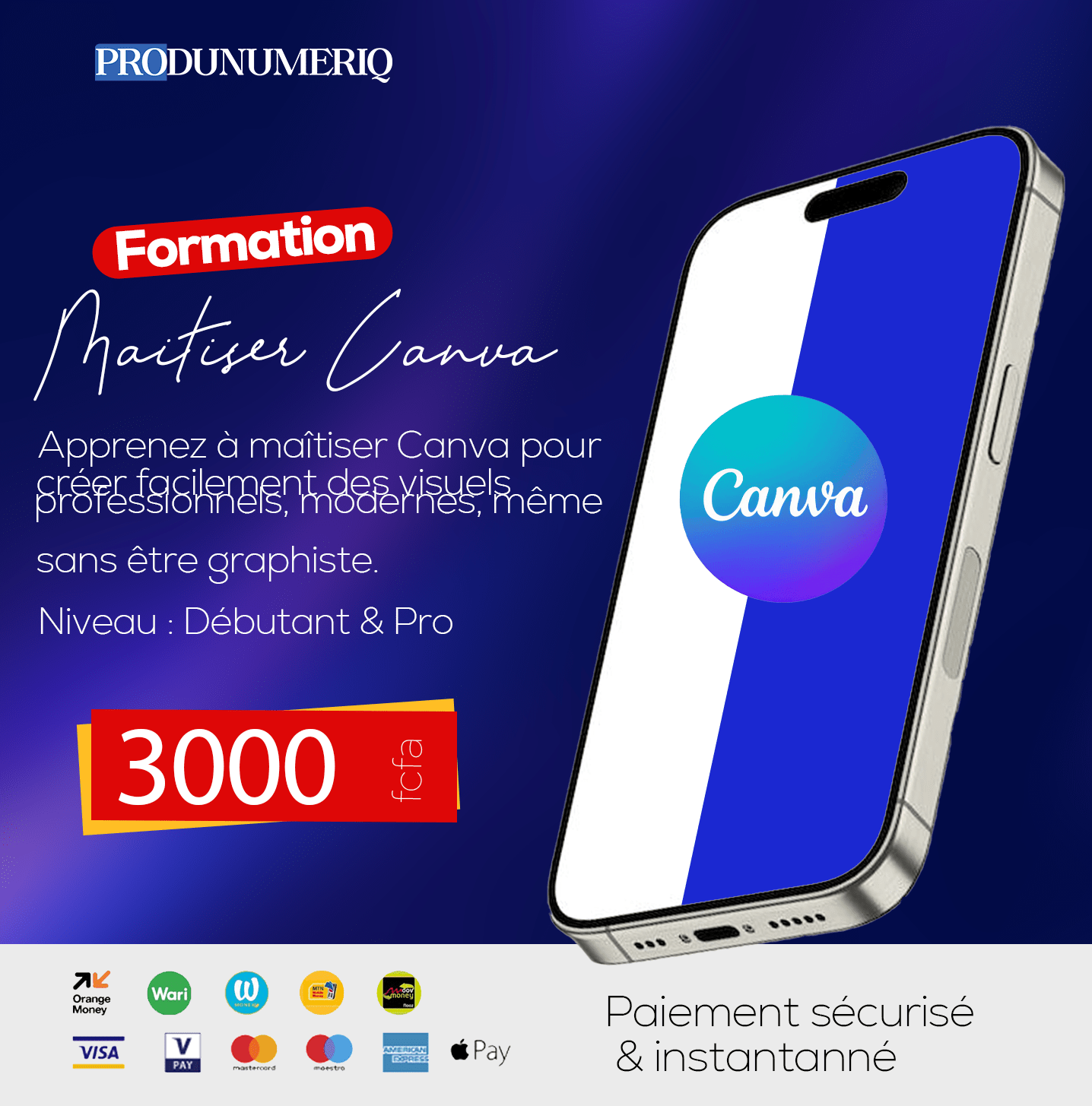 Maîtriser Canva en 24h